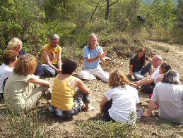 Coloti 2006