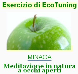 esercizio di EcoTuning