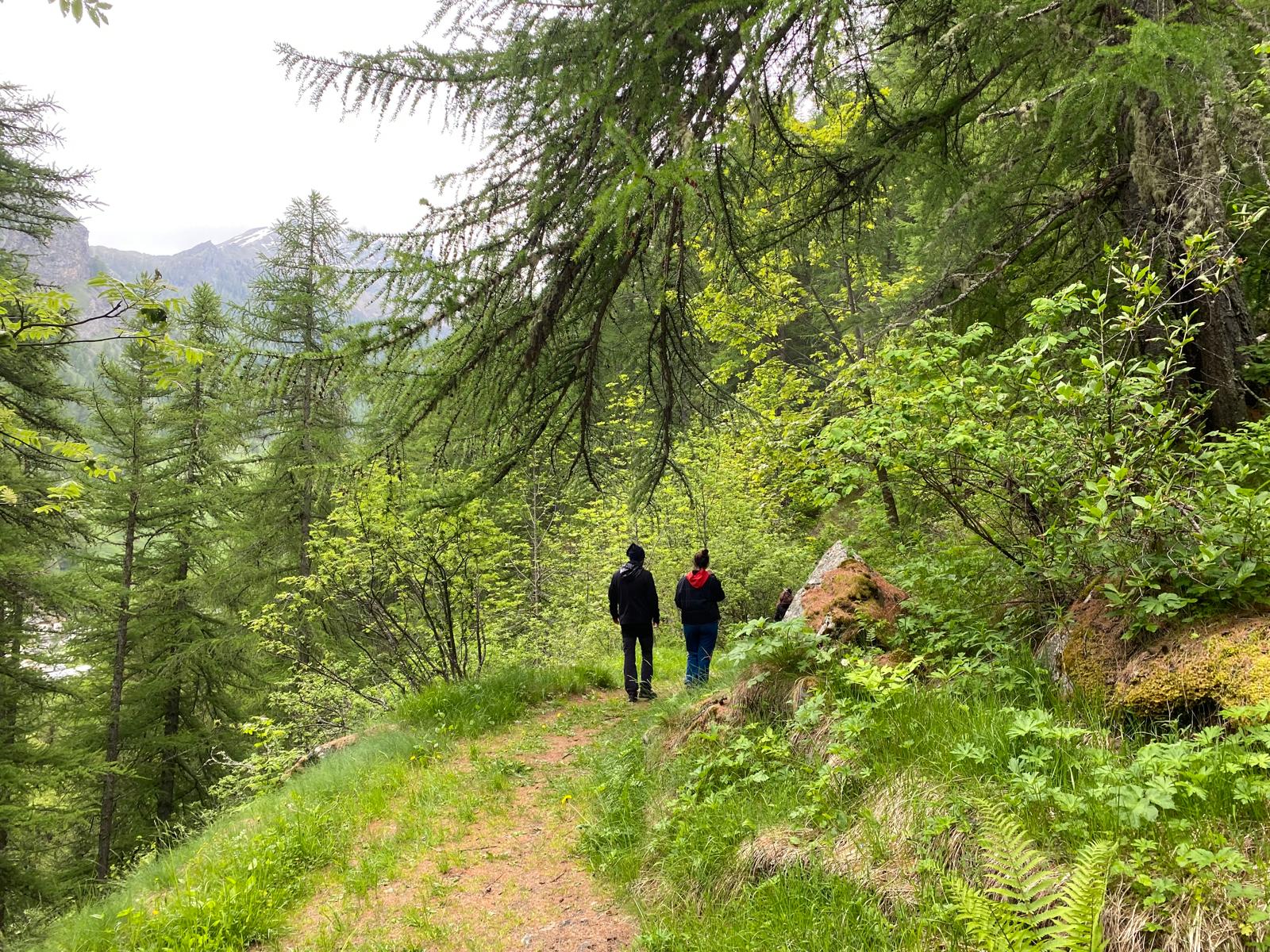 Valsavarenche - Ao - Italie