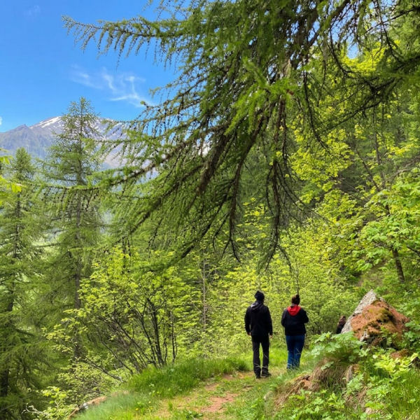 Seminario di Ecopsicologia 2024, Valsavarenche - AO - Italia